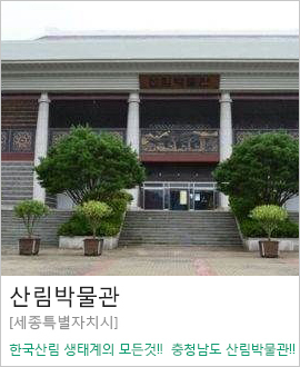 [세종특별자치시] 충청남도 산림박물관