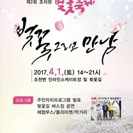 [세종시 축제] 제2회 조치원 벚꽃축제