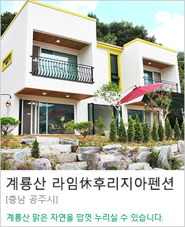[충남 공주시] 계룡산 라임休-후리지아펜션