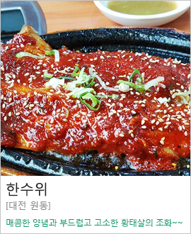 [대전 원동]한수위
