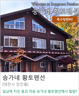 [대전 장안동] 송가네 황토펜션