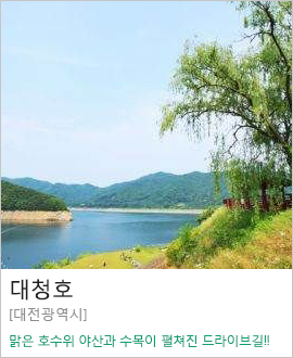 [대전광역시] 대청호