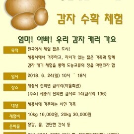 엄마!아빠! 우리 감자 캐러 가요