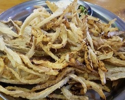 종로맥가 대전송촌점