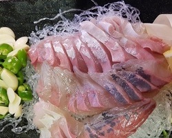 오징어와친구들 송촌점