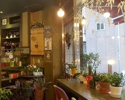 체리쉬